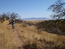 photo thumbnail #3