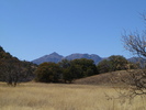 recent photo
