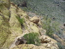 photo thumbnail #3