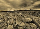photo thumbnail #14