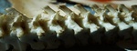 photo thumbnail #15