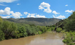 photo thumbnail #6