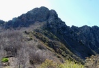 photo thumbnail #11