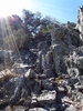 photo thumbnail #13