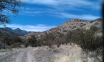 photo thumbnail #7