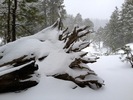 photo thumbnail #4