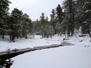 photo thumbnail #7