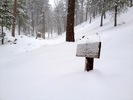 photo thumbnail #11
