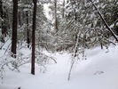 photo thumbnail #14