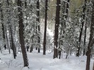 photo thumbnail #15