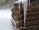 photo thumbnail #12