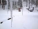 photo thumbnail #13