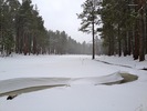 photo thumbnail #15