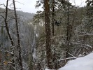 Featured Full Photo