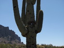 photo thumbnail #1