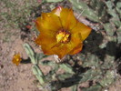 photo thumbnail #4