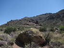 photo thumbnail #5