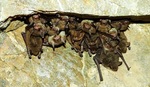 photo thumbnail #12