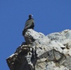 photo thumbnail #14