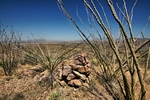 photo thumbnail #15