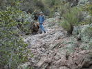 photo thumbnail #3
