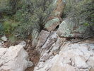 photo thumbnail #4