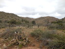 photo thumbnail #6