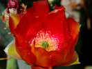 photo thumbnail #3
