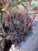 photo thumbnail #5
