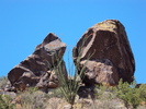 photo thumbnail #6