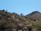 photo thumbnail #10