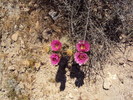 photo thumbnail #9