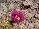 photo thumbnail #8