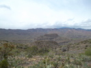 photo thumbnail #5