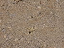 photo thumbnail #15