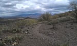 photo thumbnail #3