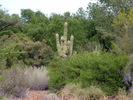 photo thumbnail #1