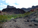 photo thumbnail #7