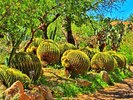 photo thumbnail #6