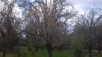recent photo