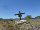 photo thumbnail #1