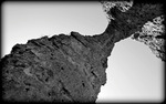 photo thumbnail #15