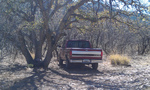 photo thumbnail #3