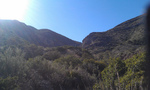 photo thumbnail #9