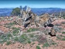 photo thumbnail #7