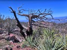 photo thumbnail #10