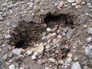 photo thumbnail #12