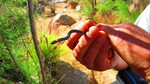 photo thumbnail #2