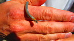 photo thumbnail #3
