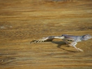 photo thumbnail #5